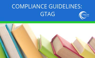 GTAG 14 – Auditing User Developed Applications
